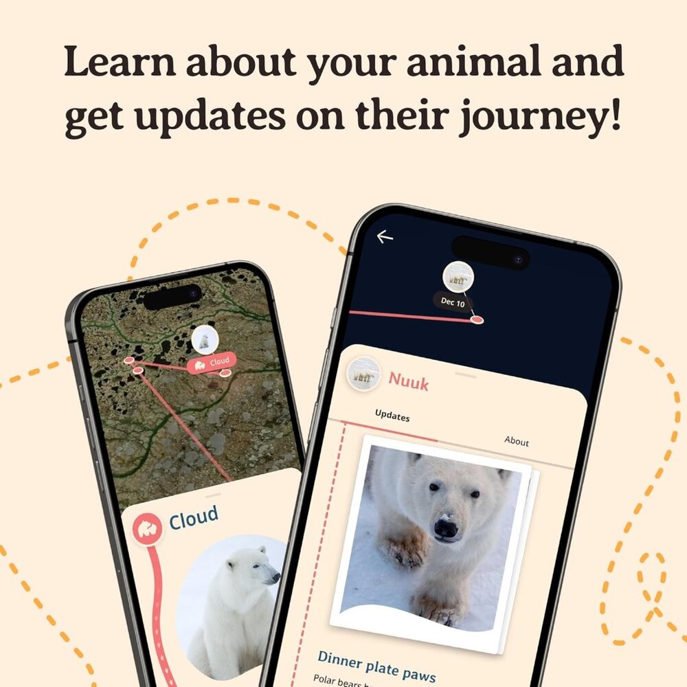 Learn And Support Wildlife With The Polar Bear Tr… - image 5